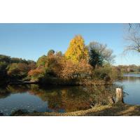 1074_03809 Herbststimmung am Hamburger Stadtparksee - Liebesinsel. | 